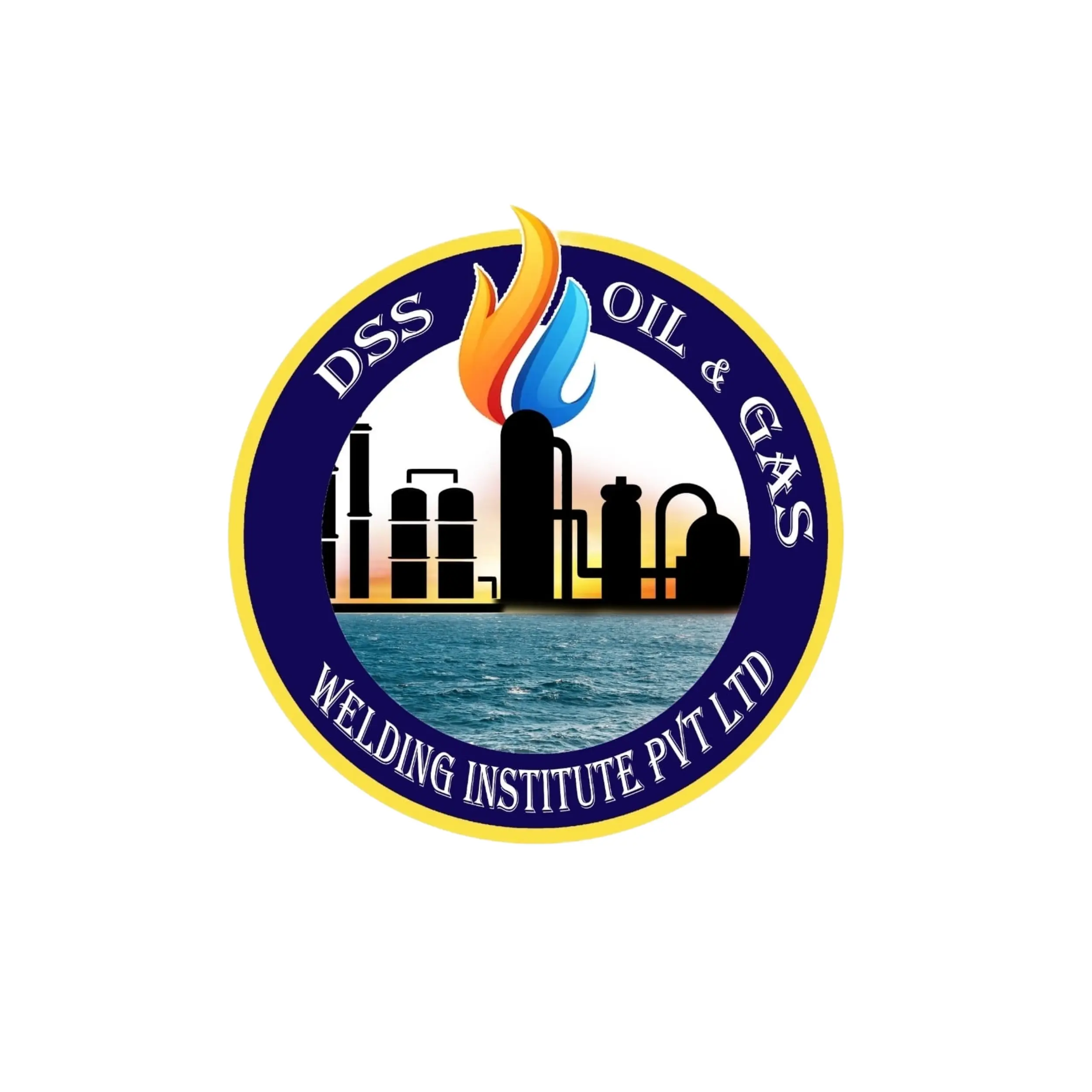 dss client logo