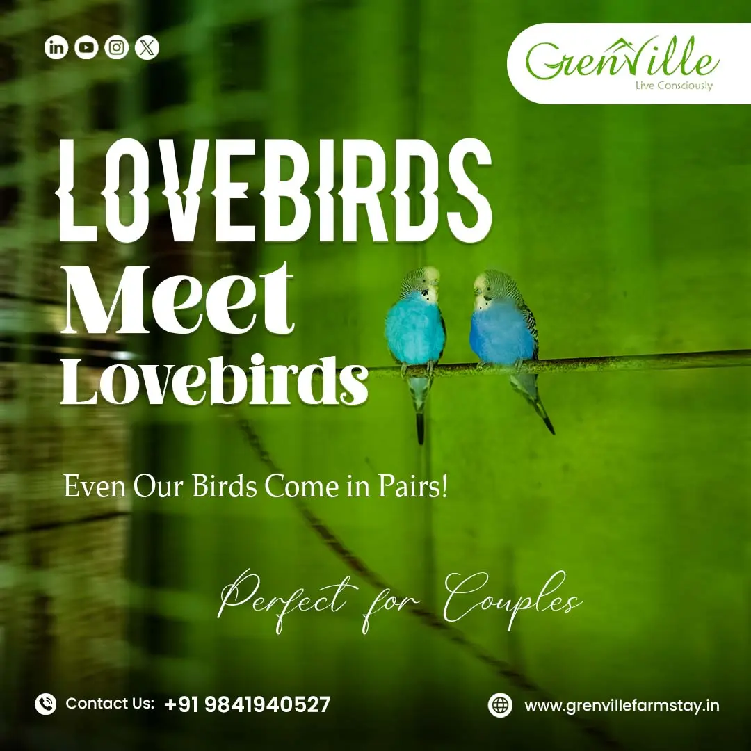 green ville farm advertising poster